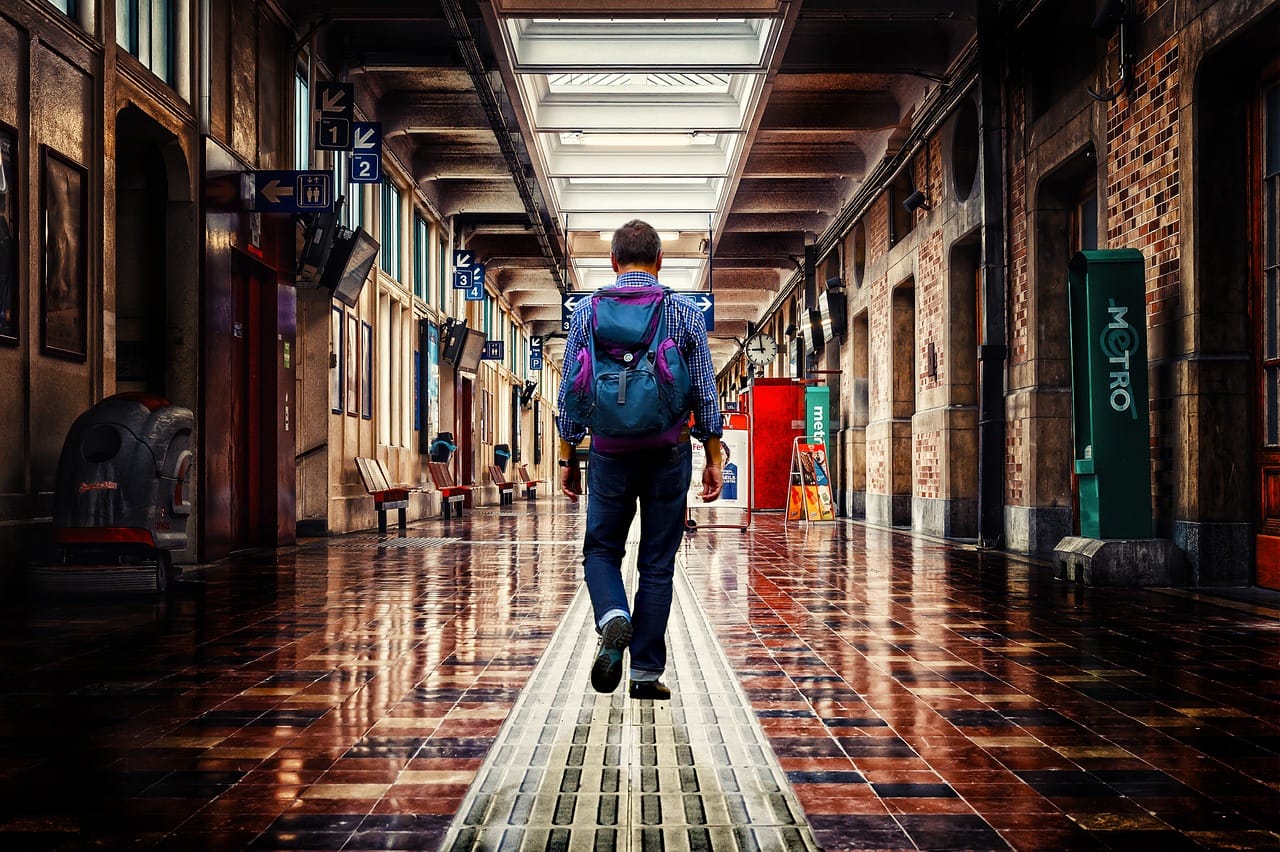 Zbiór agawy i produkcja tequili krok po kroku